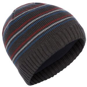 Trespass Mens Ray Beanie Hat / Dark Gray